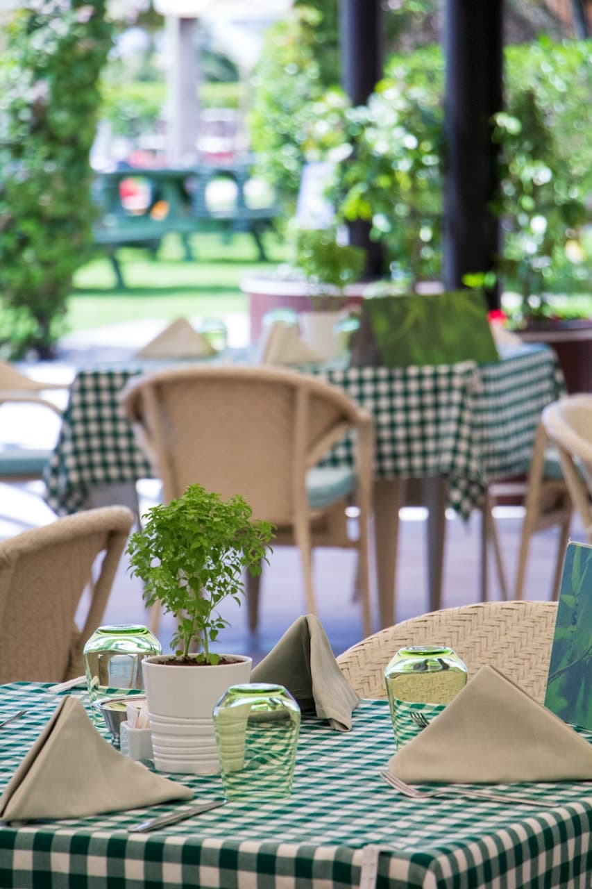IL Bayou restaurants and cafés with outdoor dining terraces